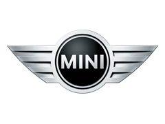Mini Car  Detailing