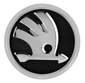 Skoda Car  Detailing